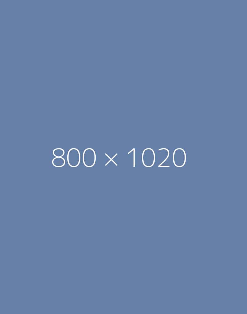 hongo 800x1020-a-ph